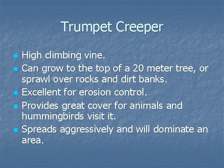 Trumpet Creeper n n n High climbing vine. Can grow to the top of