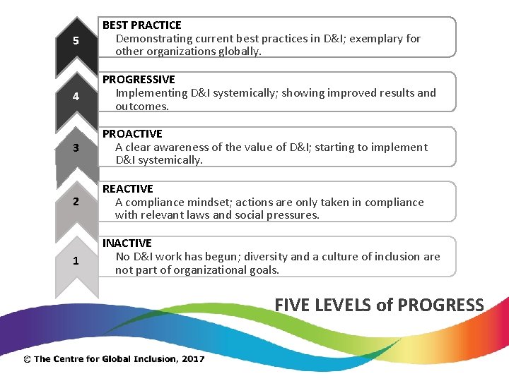 5 BEST PRACTICE Demonstrating current best practices in D&I; exemplary for other organizations globally.