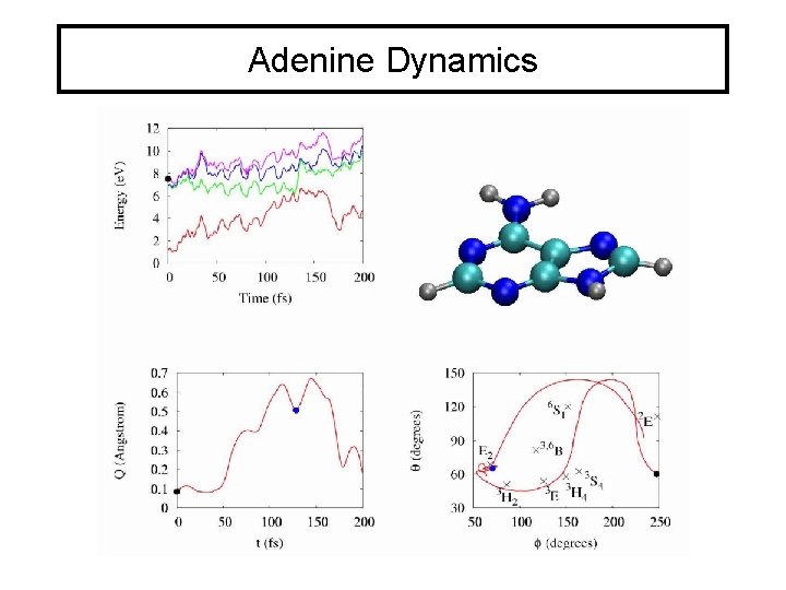 Adenine Dynamics 