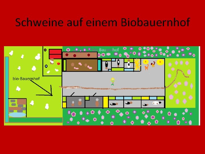 Schweine auf einem Biobauernhof 