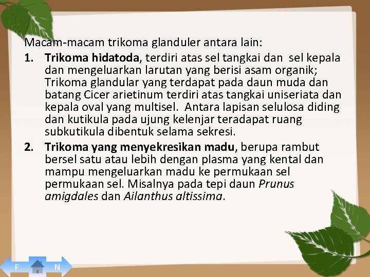 Macam-macam trikoma glanduler antara lain: 1. Trikoma hidatoda, terdiri atas sel tangkai dan sel