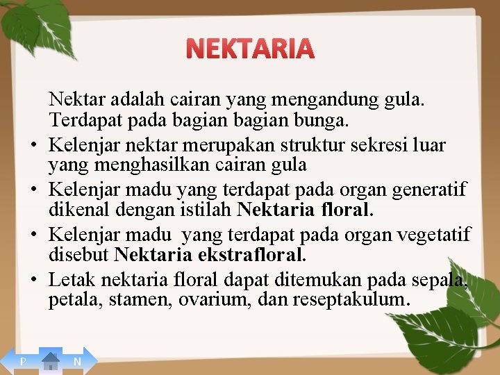 NEKTARIA • • P Nektar adalah cairan yang mengandung gula. Terdapat pada bagian bunga.