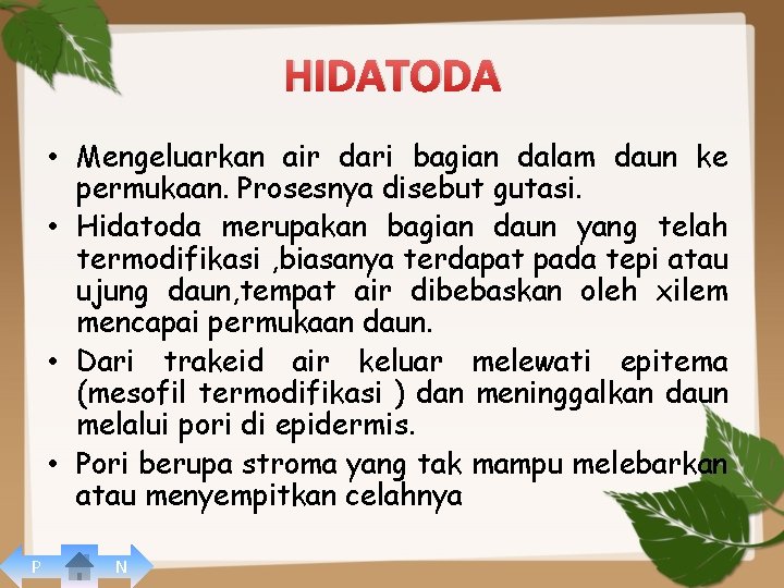 HIDATODA • Mengeluarkan air dari bagian dalam daun ke permukaan. Prosesnya disebut gutasi. •