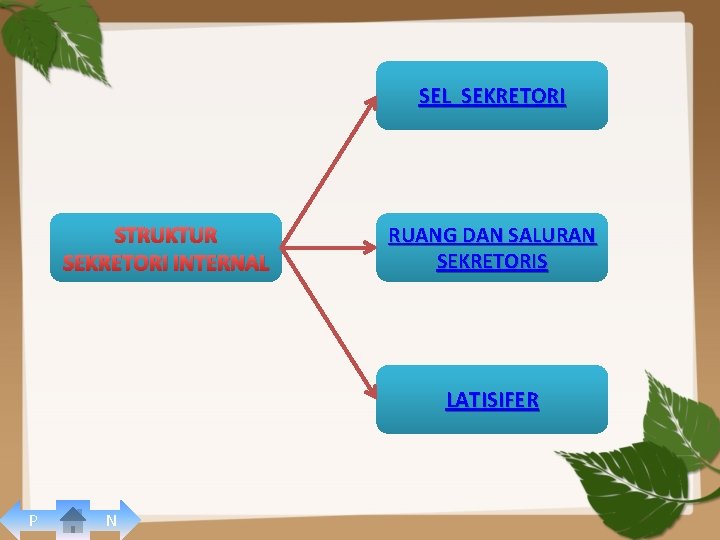 SEL SEKRETORI STRUKTUR SEKRETORI INTERNAL RUANG DAN SALURAN SEKRETORIS LATISIFER P N 