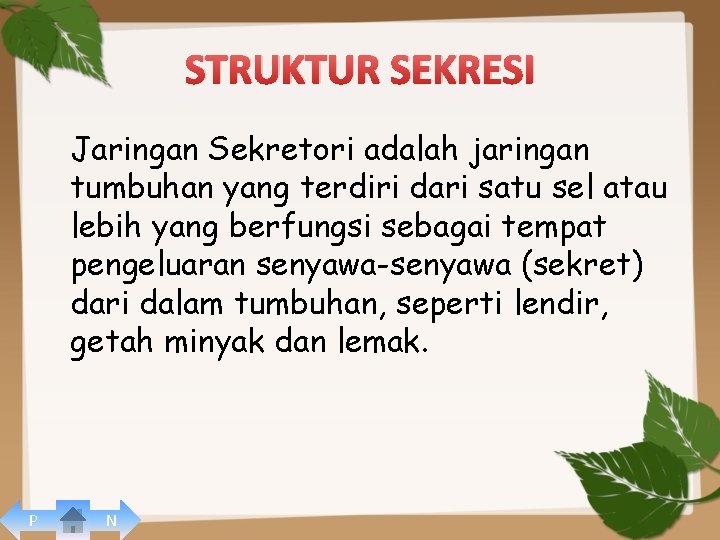 STRUKTUR SEKRESI Jaringan Sekretori adalah jaringan tumbuhan yang terdiri dari satu sel atau lebih