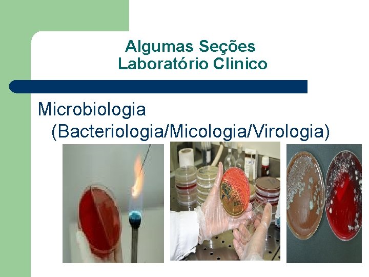 Algumas Seções Laboratório Clinico Microbiologia (Bacteriologia/Micologia/Virologia) 