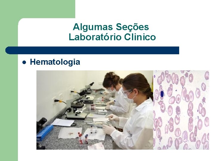 Algumas Seções Laboratório Clinico l Hematologia 