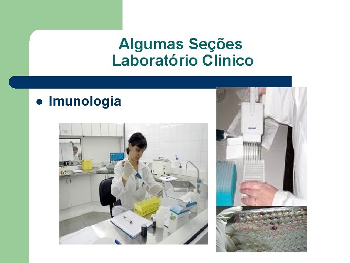 Algumas Seções Laboratório Clinico l Imunologia 