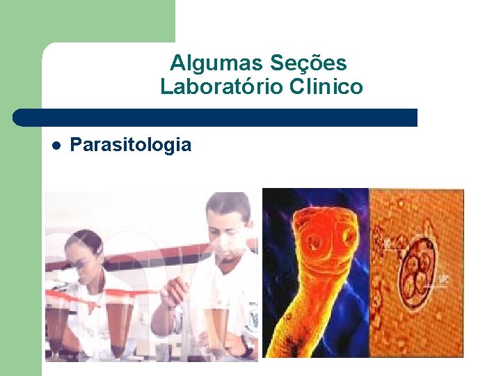 Algumas Seções Laboratório Clinico l Parasitologia 