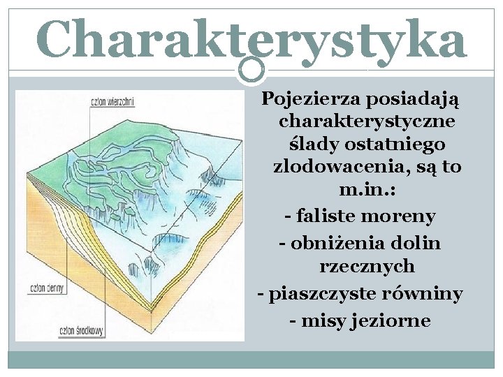 Charakterystyka Pojezierza posiadają charakterystyczne ślady ostatniego zlodowacenia, są to m. in. : - faliste