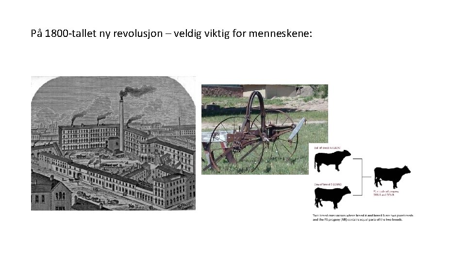 På 1800 -tallet ny revolusjon – veldig viktig for menneskene: 