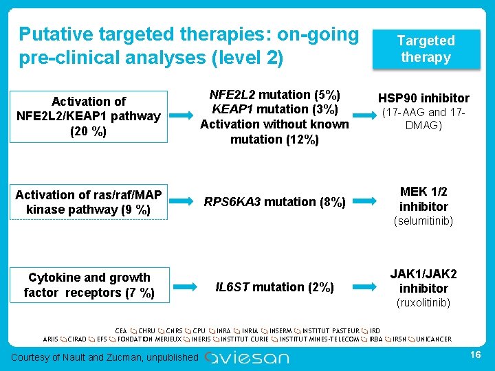 Putative targeted therapies: on-going pre-clinical analyses (level 2) NFE 2 L 2 mutation (5%)