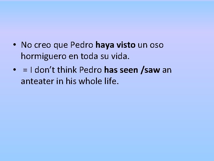  • No creo que Pedro haya visto un oso hormiguero en toda su