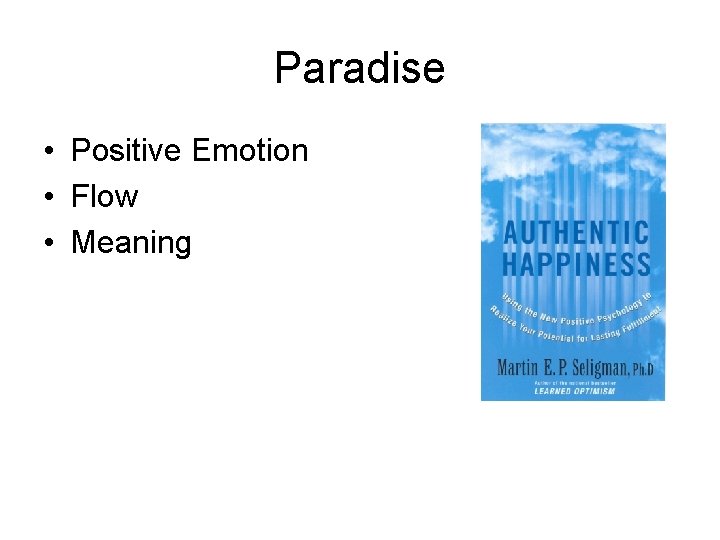 Paradise • Positive Emotion • Flow • Meaning 