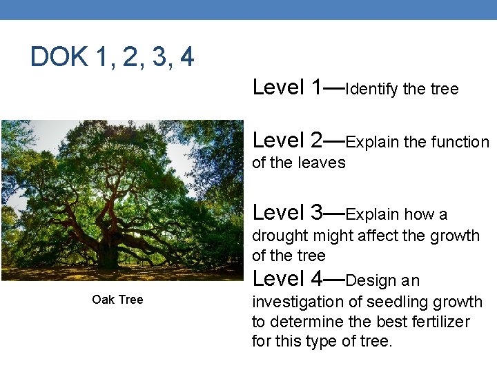 DOK 1, 2, 3, 4 Level 1—Identify the tree Level 2—Explain the function of DOK 1, 2, 3, 4 Level 1—Identify the tree Level 2—Explain the function of