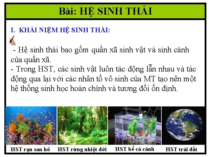 Bài: HỆ SINH THÁI I. KHÁI NIỆM HỆ SINH THÁI: - Hệ sinh thái