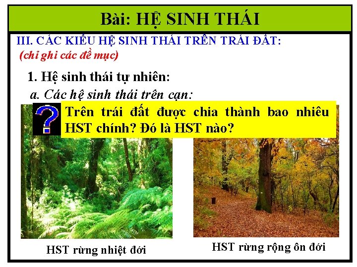 Bài: HỆ SINH THÁI III. CÁC KIỂU HỆ SINH THÁI TRÊN TRÁI ĐẤT: (chỉ