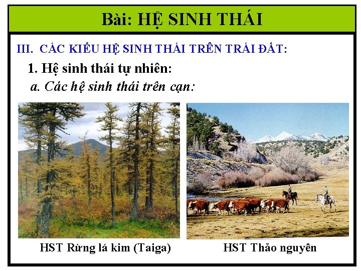 Bài: HỆ SINH THÁI III. CÁC KIỂU HỆ SINH THÁI TRÊN TRÁI ĐẤT: 1.