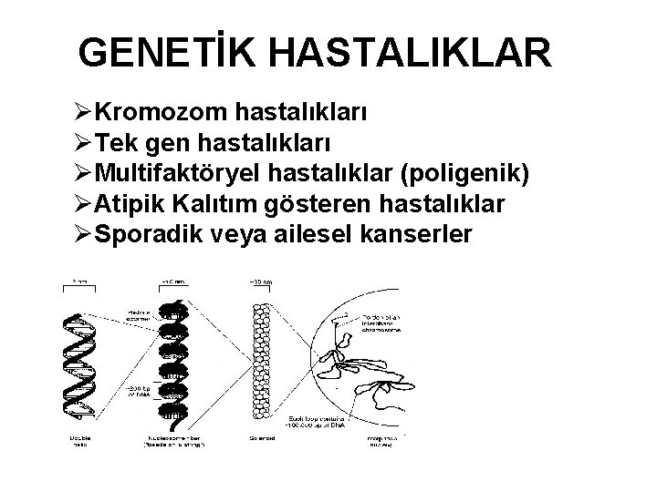 GENETİK HASTALIKLAR ØKromozom hastalıkları ØTek gen hastalıkları ØMultifaktöryel hastalıklar (poligenik) ØAtipik Kalıtım gösteren hastalıklar