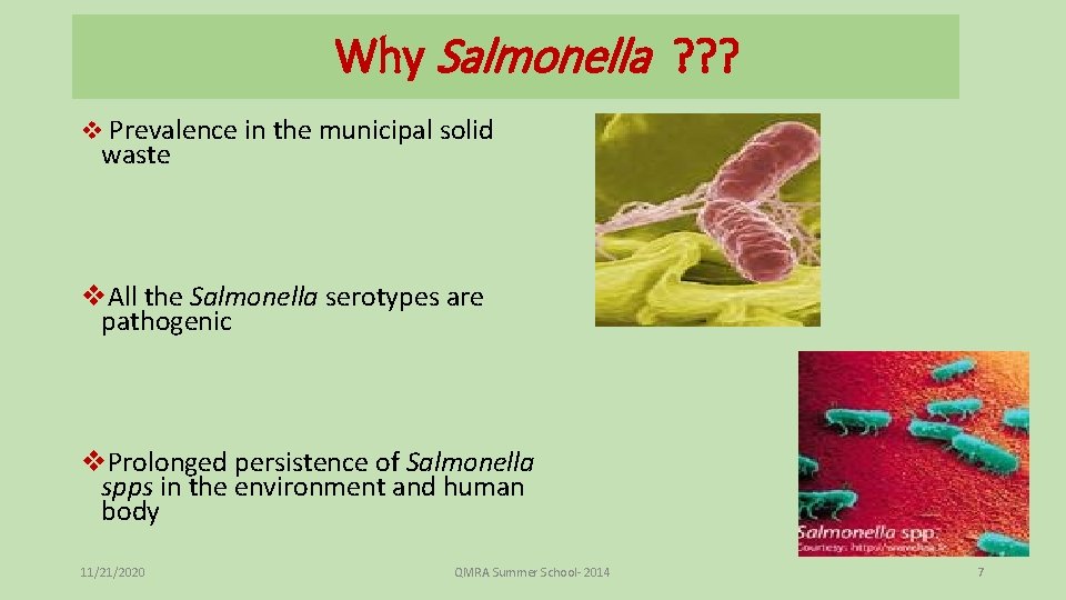 Quantitative Microbial Risk Assessment of a Municipal Solid