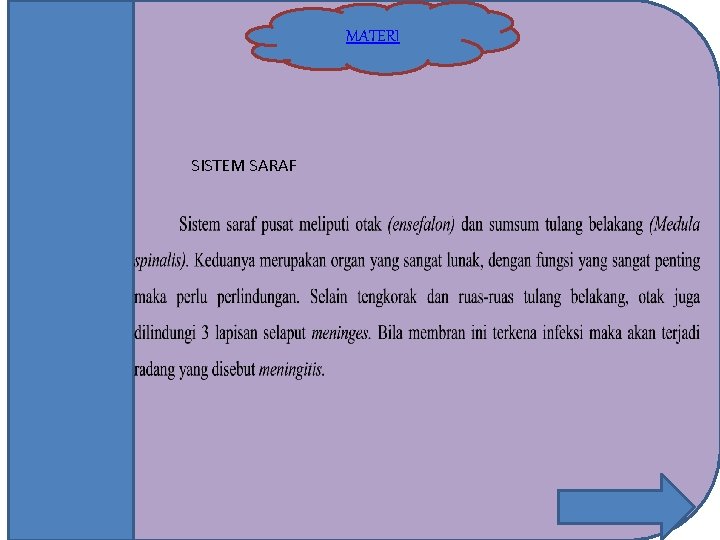 MATERI SISTEM SARAF 