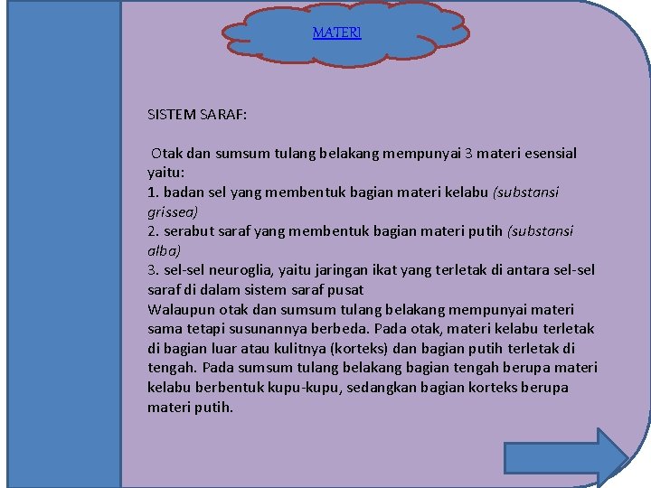 MATERI SISTEM SARAF: Otak dan sumsum tulang belakang mempunyai 3 materi esensial yaitu: 1.