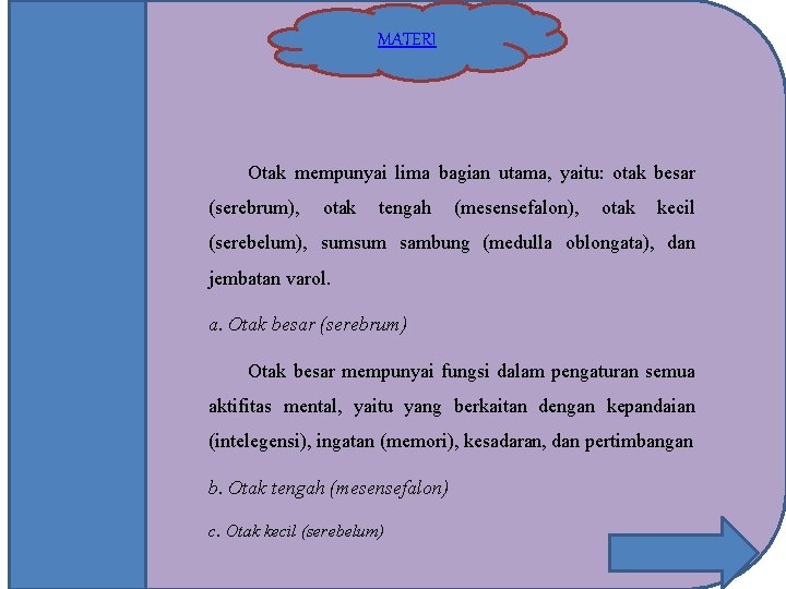 MATERI Otak mempunyai lima bagian utama, yaitu: otak besar (serebrum), otak tengah (mesensefalon), otak