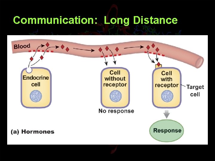 Communication: Long Distance 
