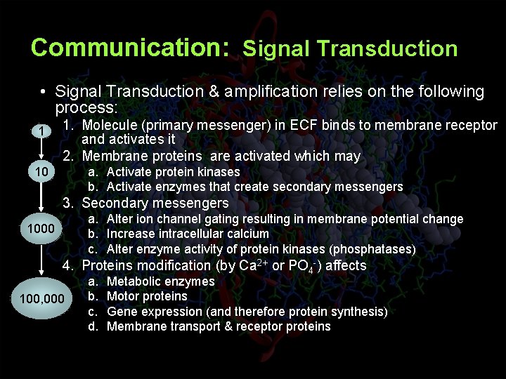 Communication: Signal Transduction • Signal Transduction & amplification relies on the following process: 1