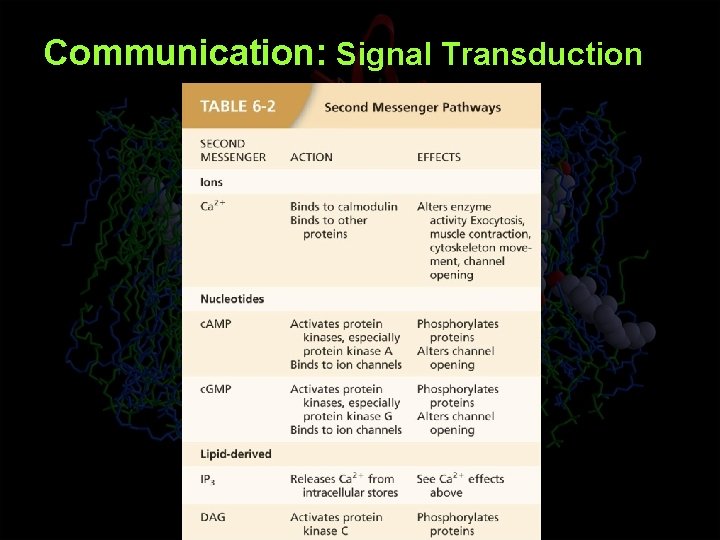 Communication: Signal Transduction 