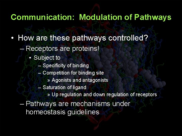 Communication: Modulation of Pathways • How are these pathways controlled? – Receptors are proteins!