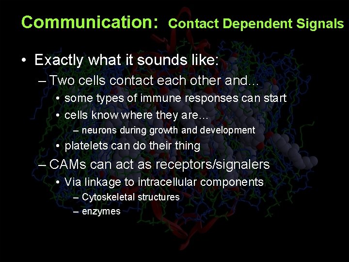 Communication: Contact Dependent Signals • Exactly what it sounds like: – Two cells contact