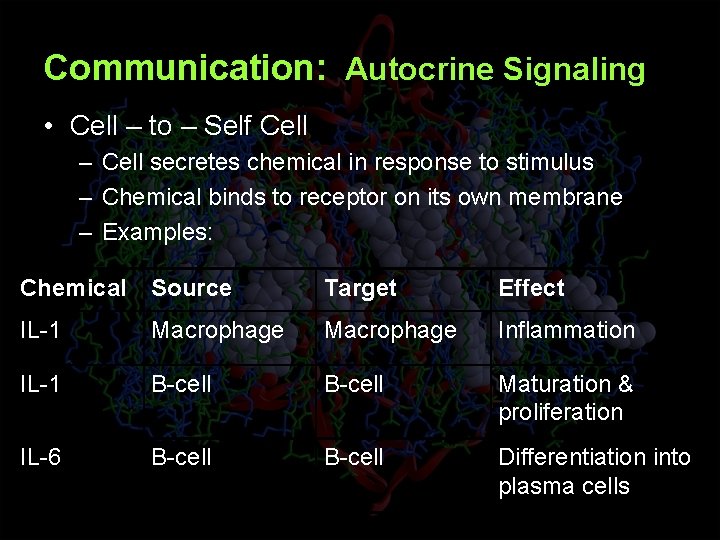 Communication: Autocrine Signaling • Cell – to – Self Cell – Cell secretes chemical