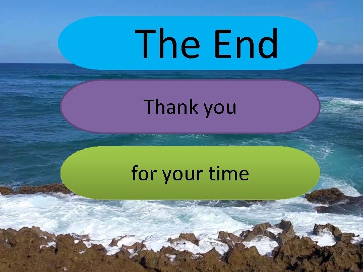 The End Thank you for your time 