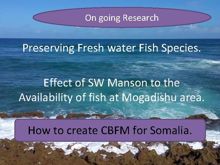 On going Research Preserving Fresh water Fish Species. Effect of SW Manson to the