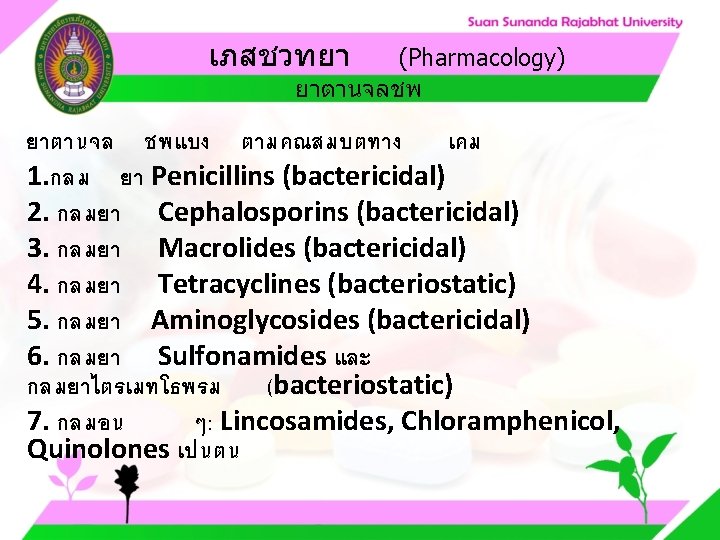 เภสชวทยา (Pharmacology) ยาตานจลชพ ยาตานจล ชพแบง ตามคณสมบตทาง เคม 1. กลม ยา Penicillins (bactericidal) 2. กลมยา