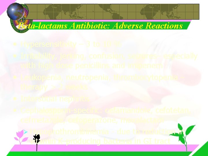 Beta-lactams Antibiotic: Adverse Reactions • Hypersensitivity – 3 to 10 % • Irritability, jerking,