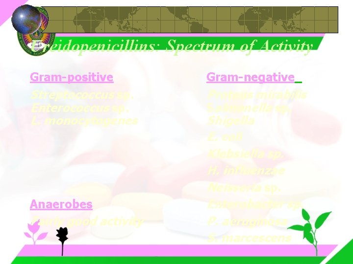 Ureidopenicillins: Spectrum of Activity Gram-positive Gram-negative Streptococcus sp. Enterococcus sp. L. monocytogenes Proteus mirabilis