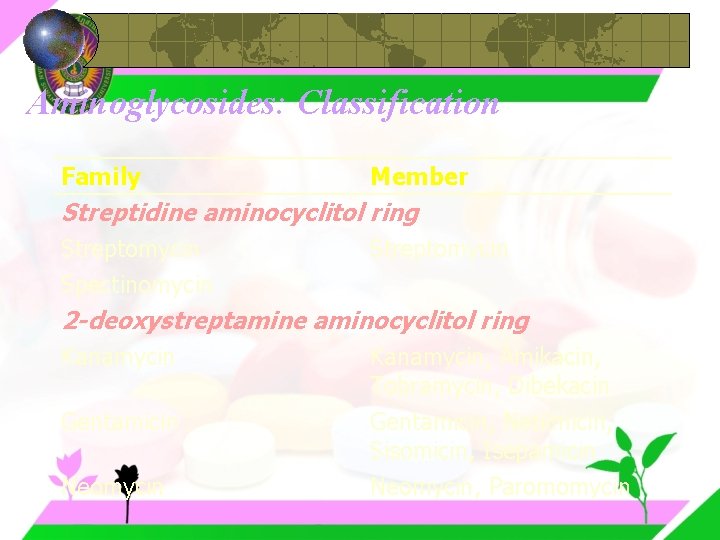 Aminoglycosides: Classification Family Member Streptidine aminocyclitol ring Streptomycin Spectinomycin 2 -deoxystreptamine aminocyclitol ring Kanamycin,