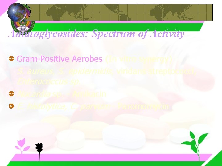 Aminoglycosides: Spectrum of Activity Gram-Positive Aerobes (In vitro synergy) S. aureus, S. epidermidis, viridans