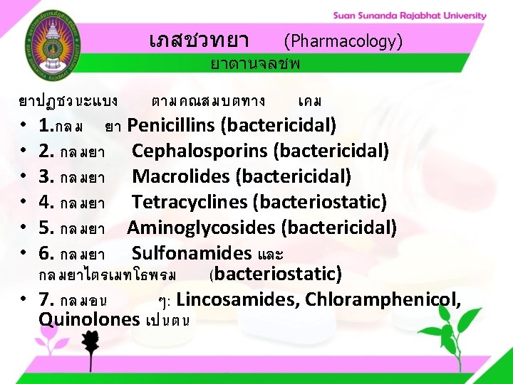 เภสชวทยา (Pharmacology) ยาตานจลชพ ยาปฏชวนะแบง ตามคณสมบตทาง เคม • 1. กลม ยา Penicillins (bactericidal) • 2.