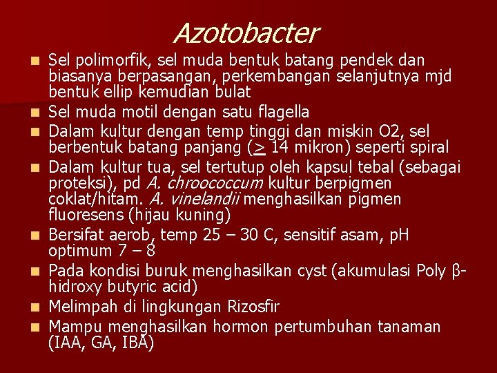 Azotobacter n n n n Sel polimorfik, sel muda bentuk batang pendek dan biasanya