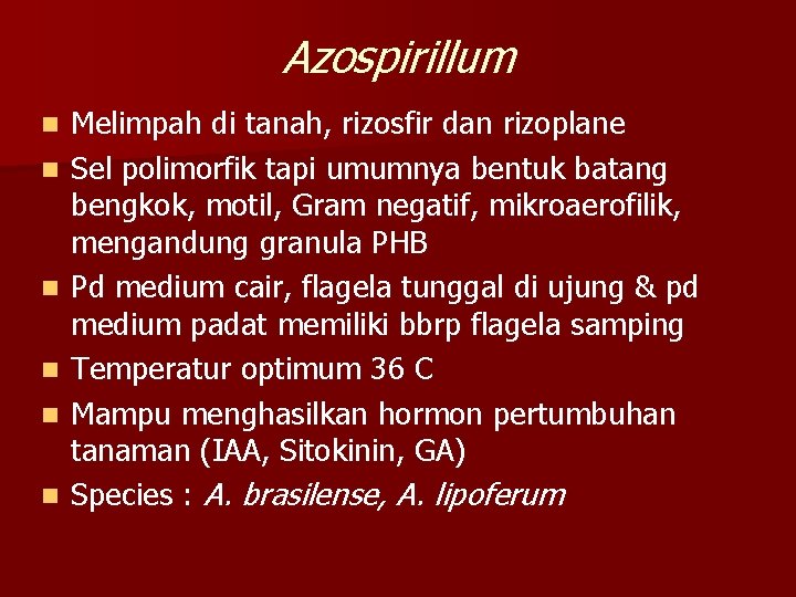 Azospirillum n n n Melimpah di tanah, rizosfir dan rizoplane Sel polimorfik tapi umumnya