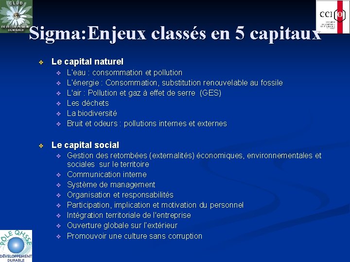 Sigma: Enjeux classés en 5 capitaux v Le capital naturel v v v v