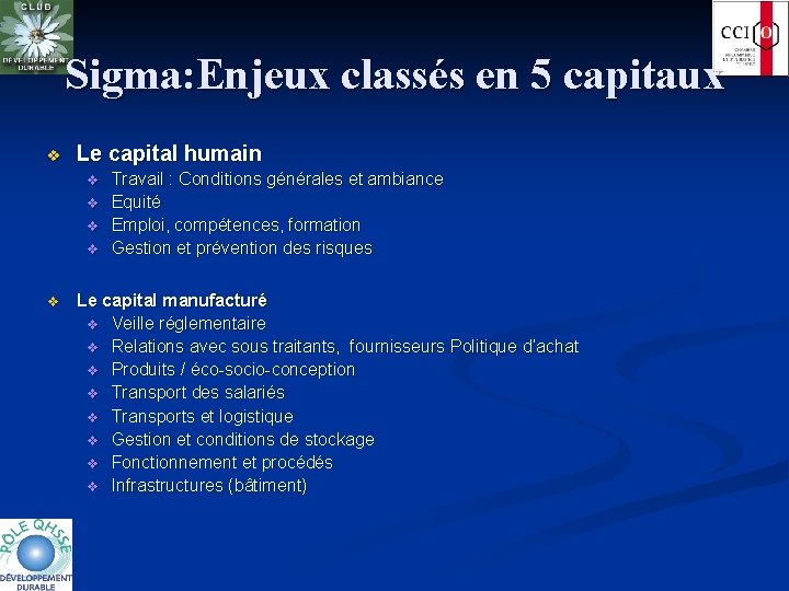 Sigma: Enjeux classés en 5 capitaux v Le capital humain v v v Travail