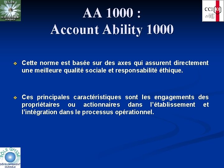AA 1000 : Account Ability 1000 v Cette norme est basée sur des axes