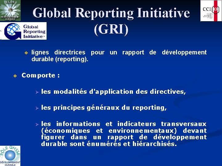 Global Reporting Initiative (GRI) v v lignes directrices pour un rapport de développement durable
