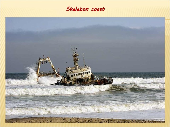 Skeleton coast 