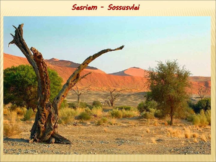 Sesriem - Sossusvlei 