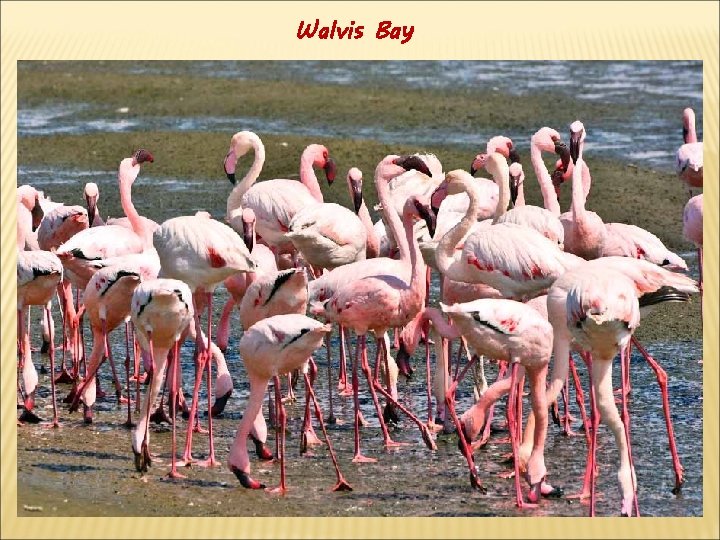 Walvis Bay 